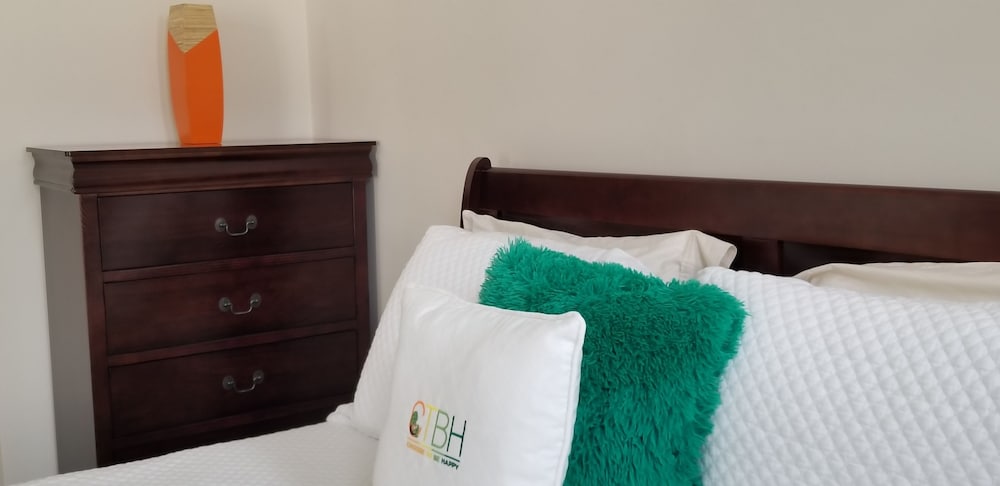 New Kingston Guest Apt at Kingsway