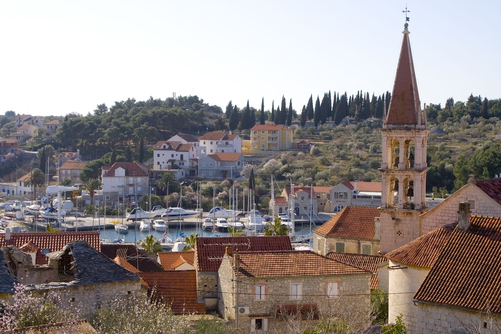 Photo 42