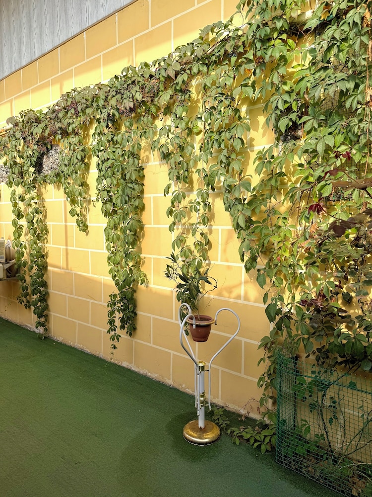 Saturn Garden