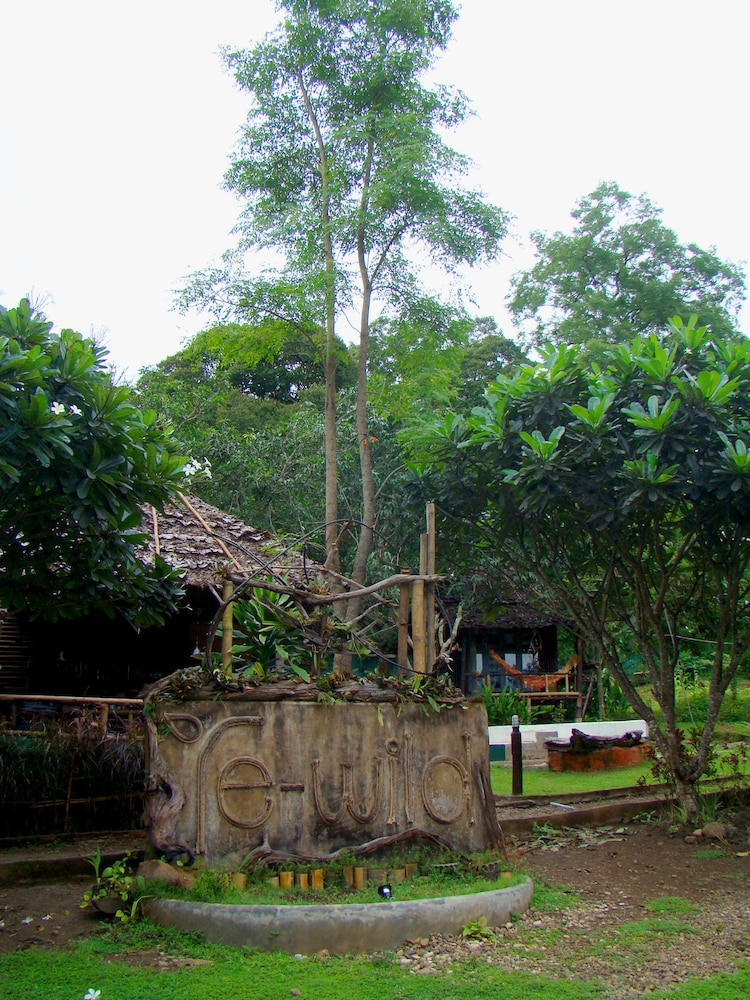 Re - Wild House