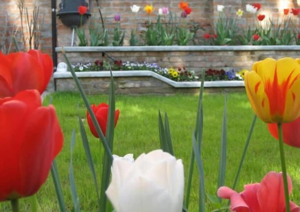 Casa delle Rose B&B