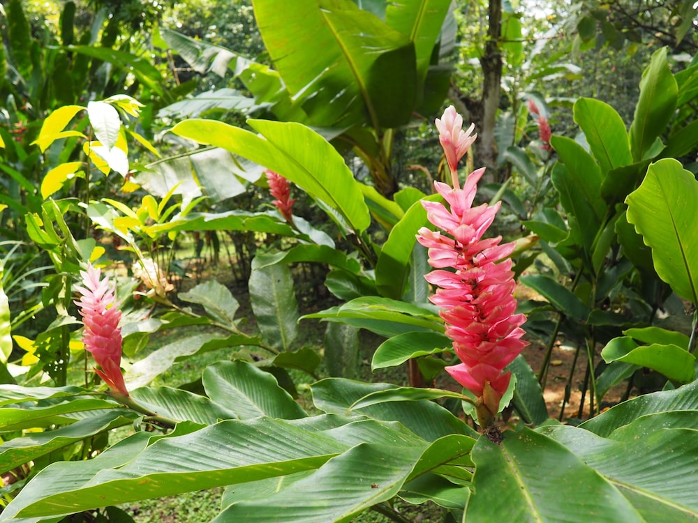 La Finca Chica