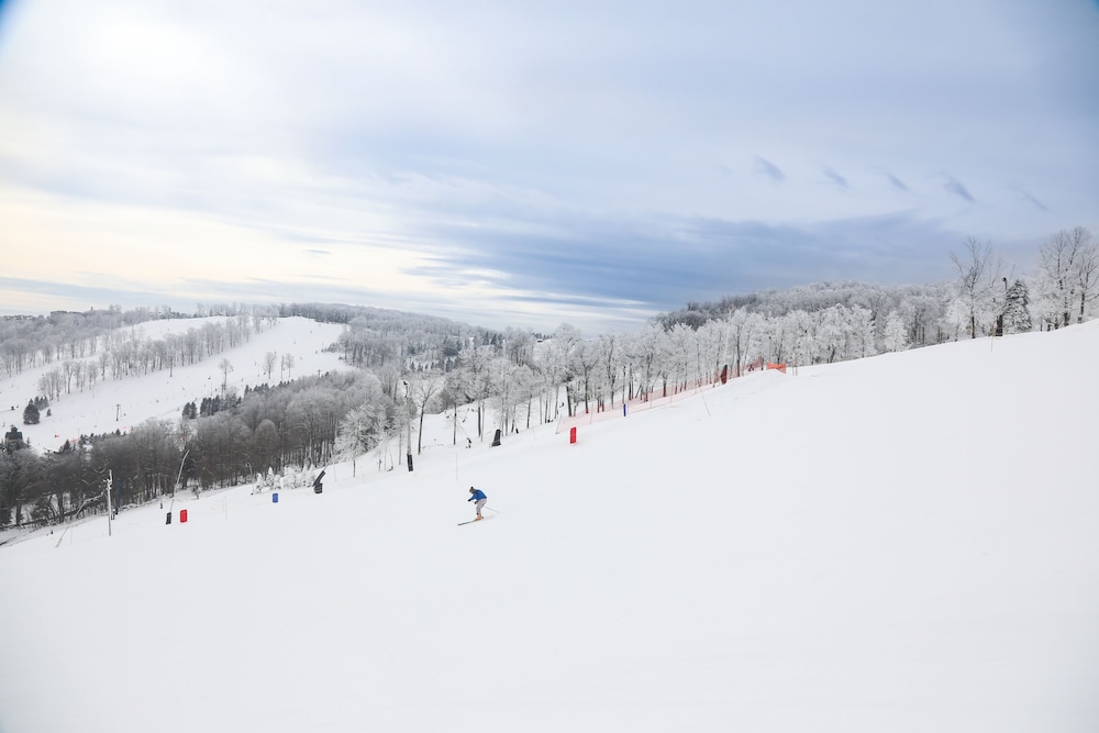 Seven Springs Sunridge 1 Br Condo, Ski-in/out 1 Bedroom Condo