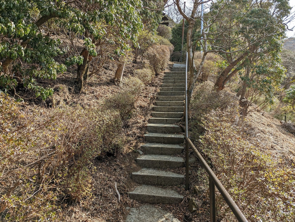 Photo 46
