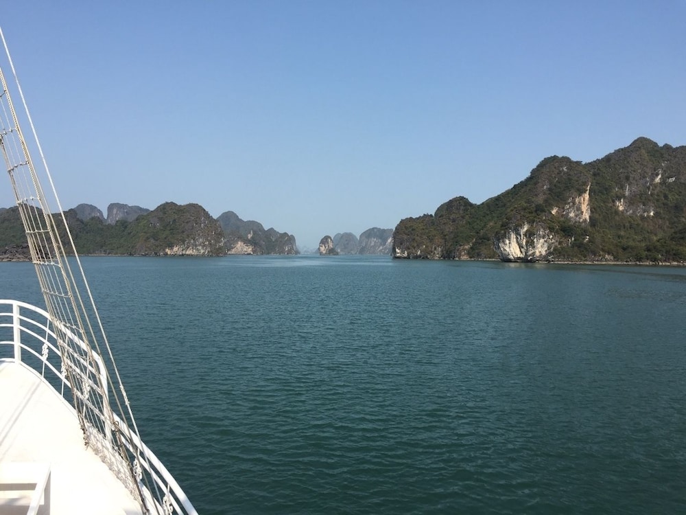UniCharm Cruise