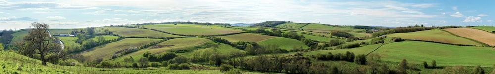 Brush and Boot B&B