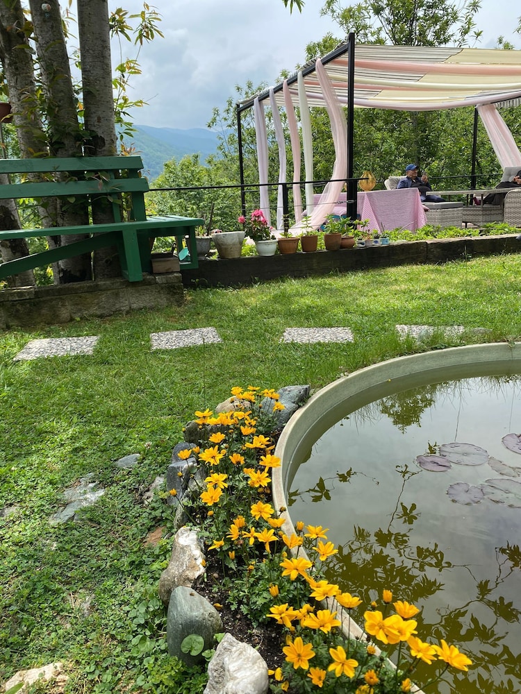 Elifin Gizli Bahçesi