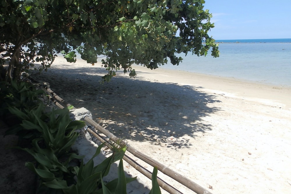 Photo 7