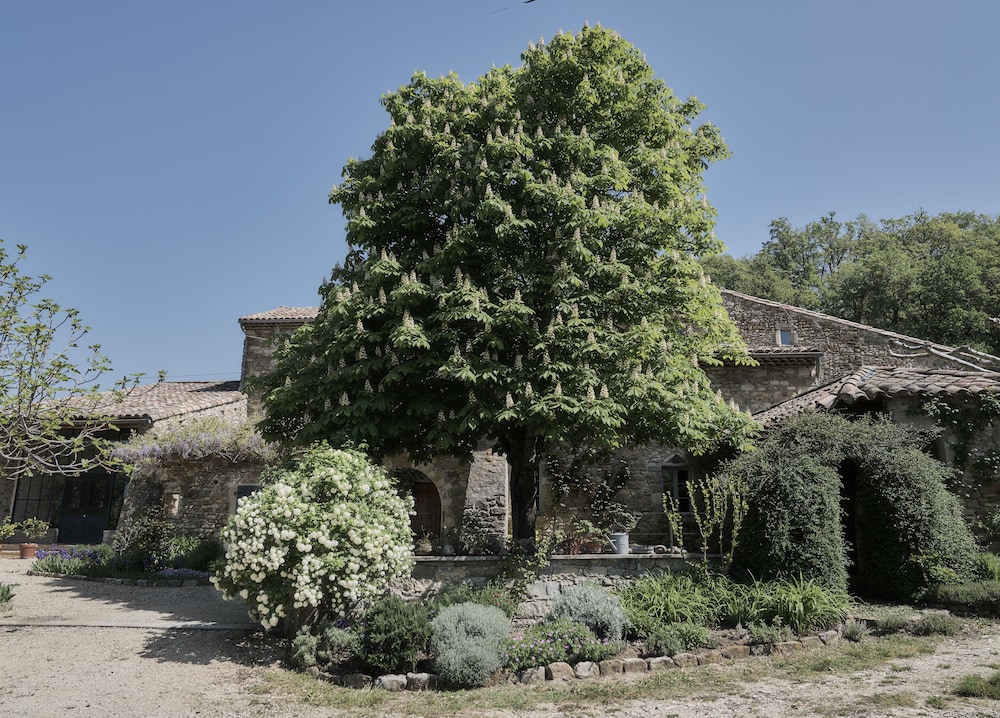 La Cour du Marronnier