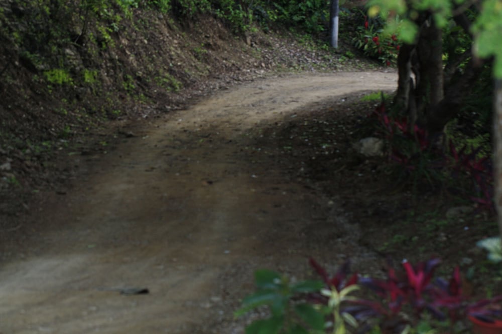 Chawpi Lodge