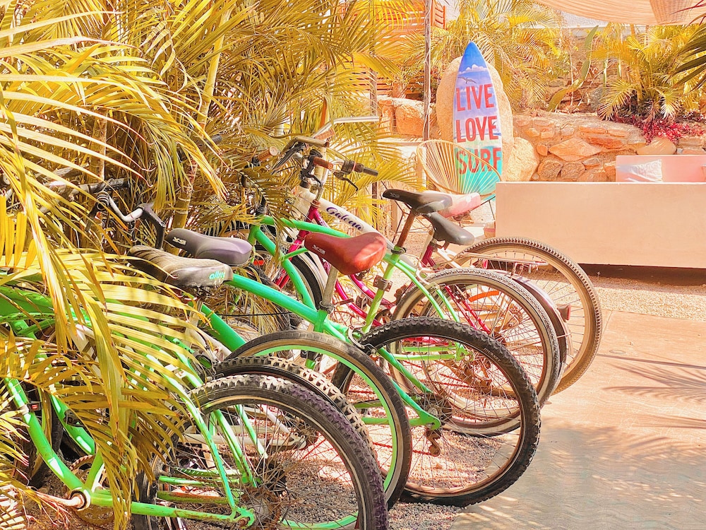Perro Surfero Hotel Boutique - Todos Santos, BCS