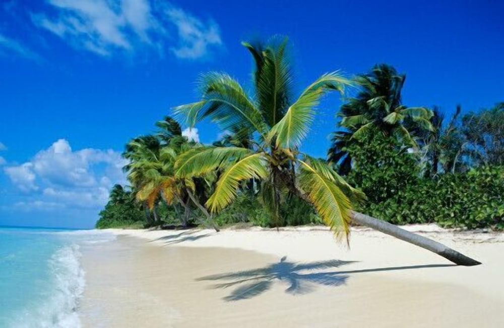 Punta Cana Hostel