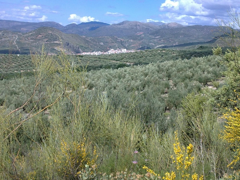 Hospederia Locubin