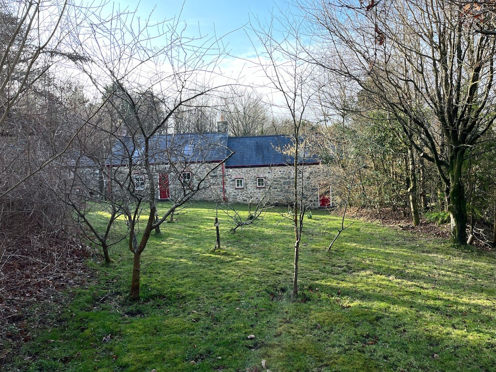 Pen y Mynydd