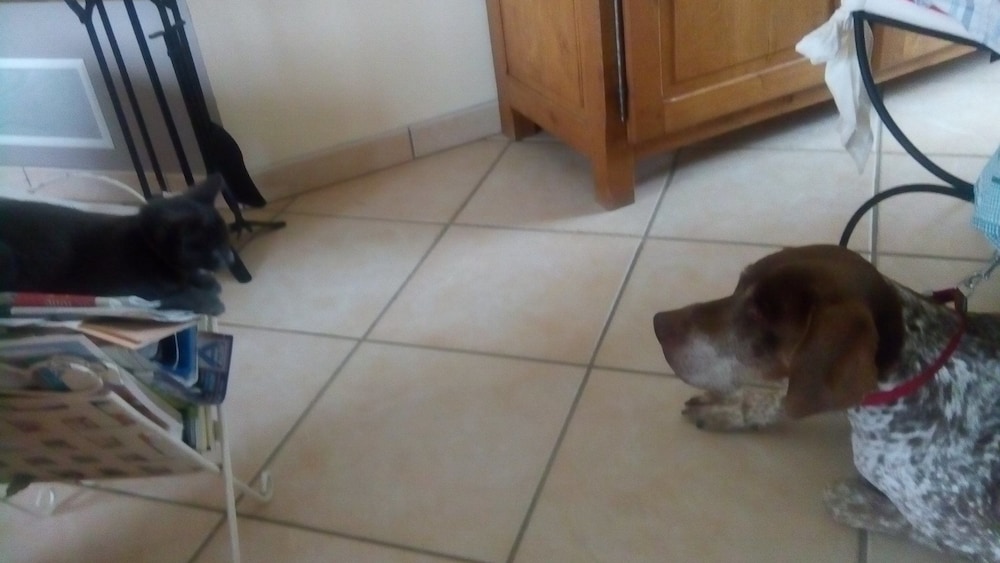 Photo 20