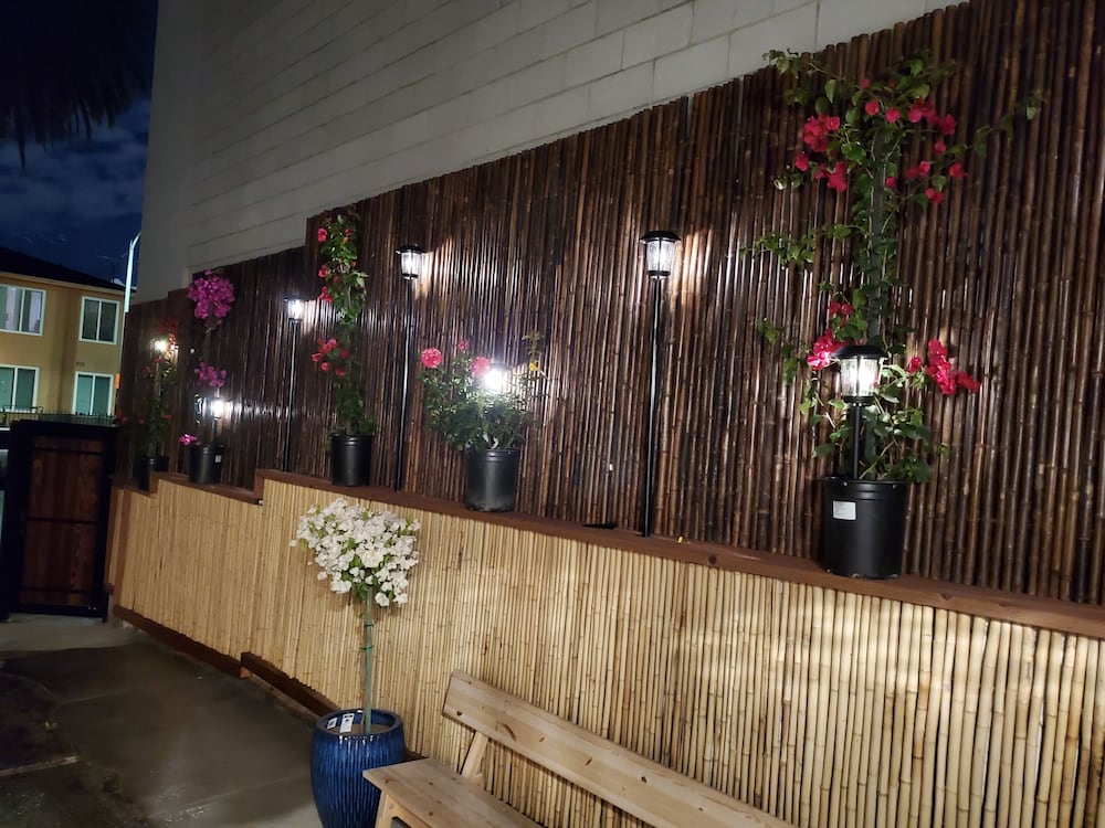 The Rumi Hostel
