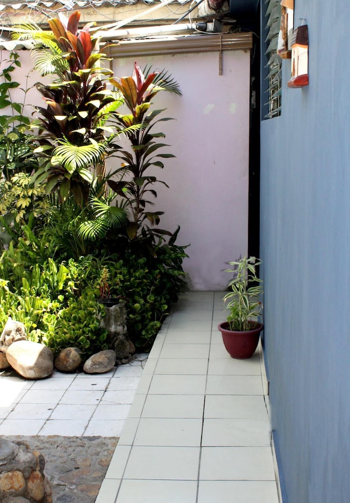 Photo 25