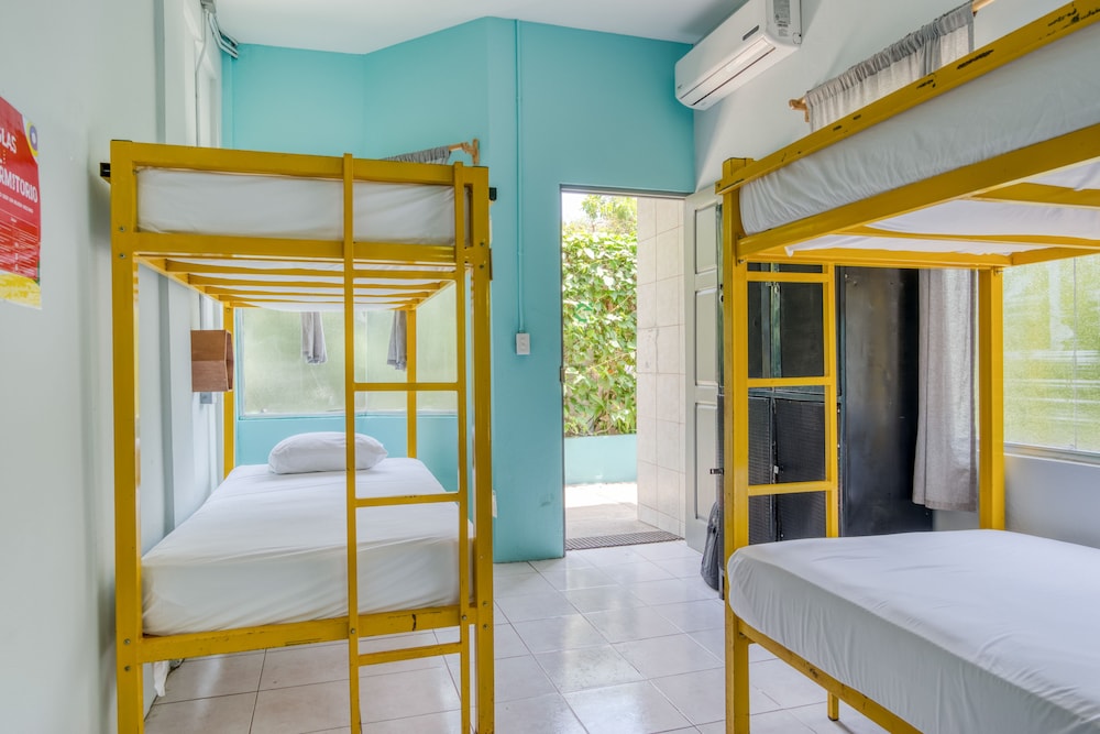 Selina Jaco - Hostel