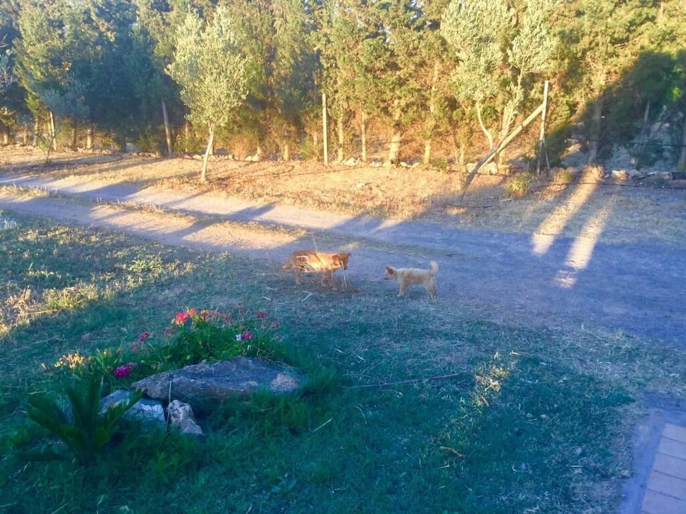 Photo 23