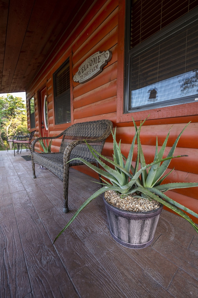 Waco Vacations - Cabin 1 Rental 15 Minutes From Magnolia and Baylor - Property Image 4