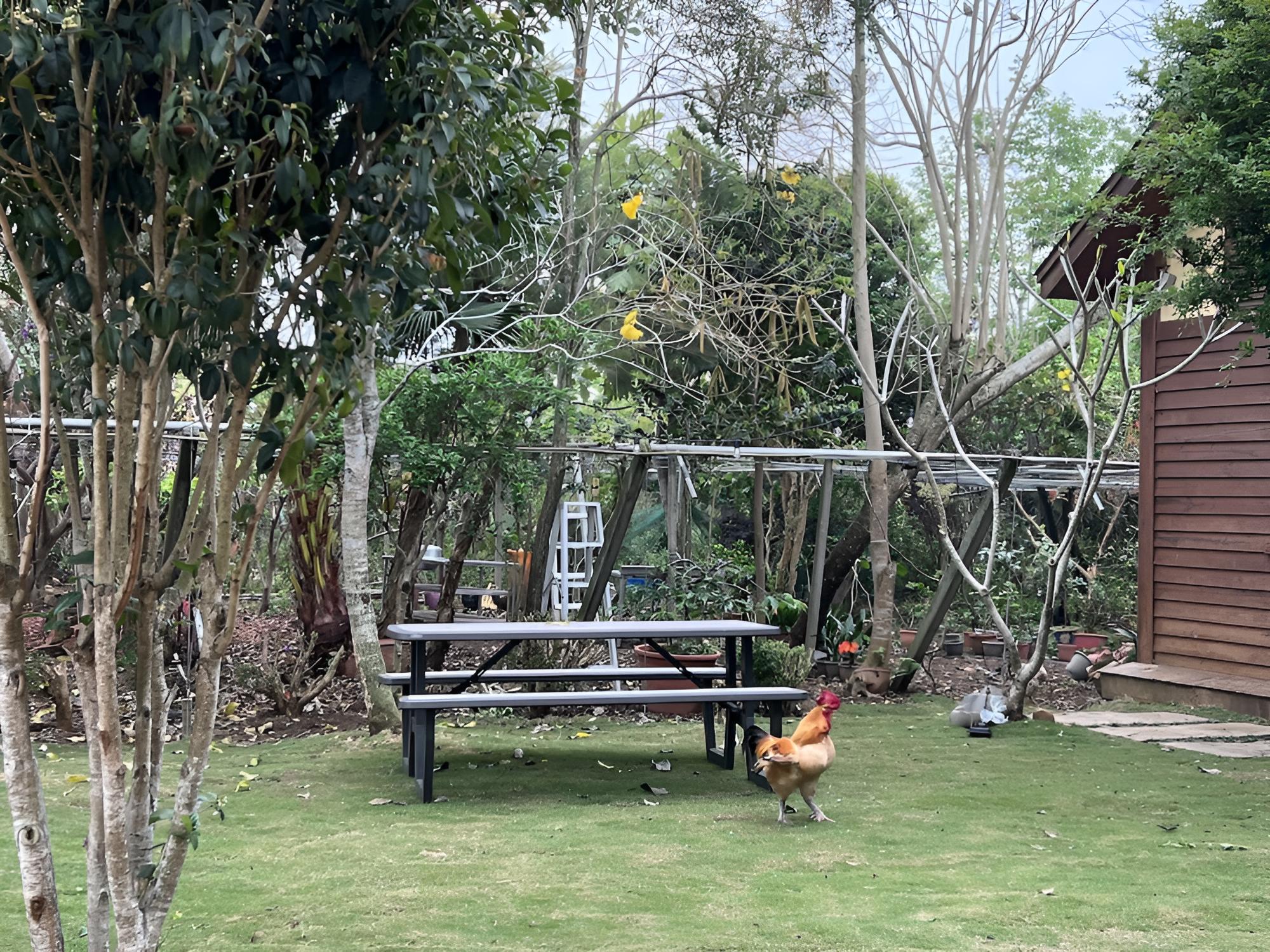 Xinshe Homestay view 2