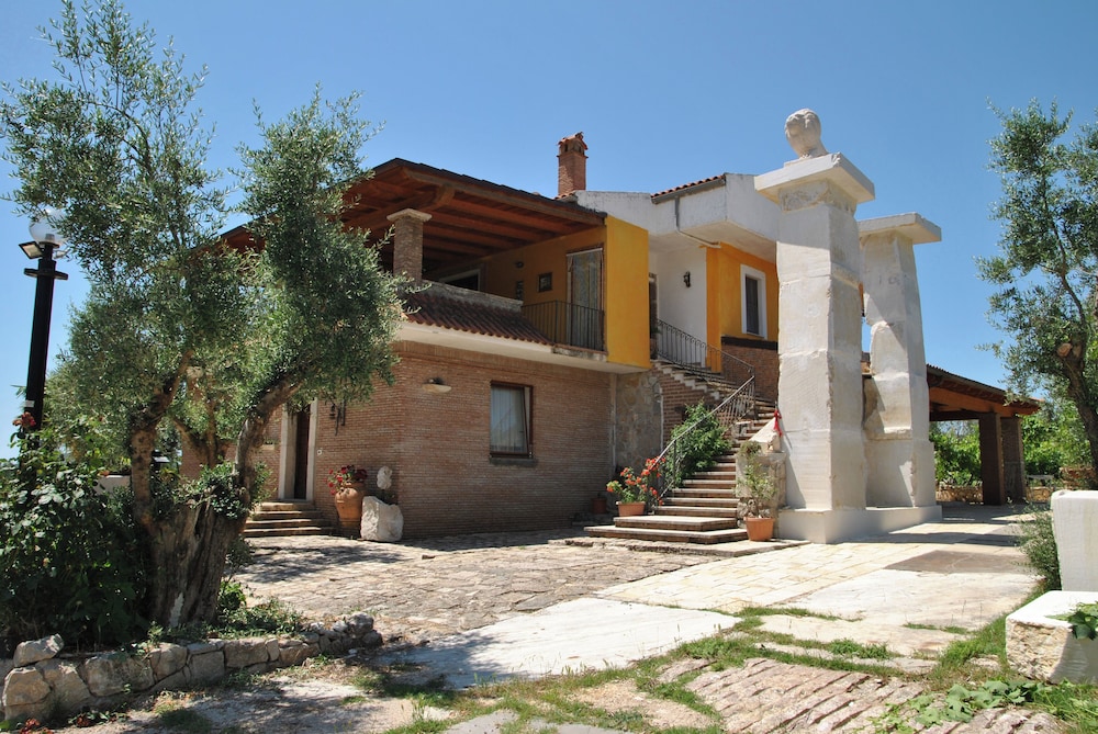 Photo 6