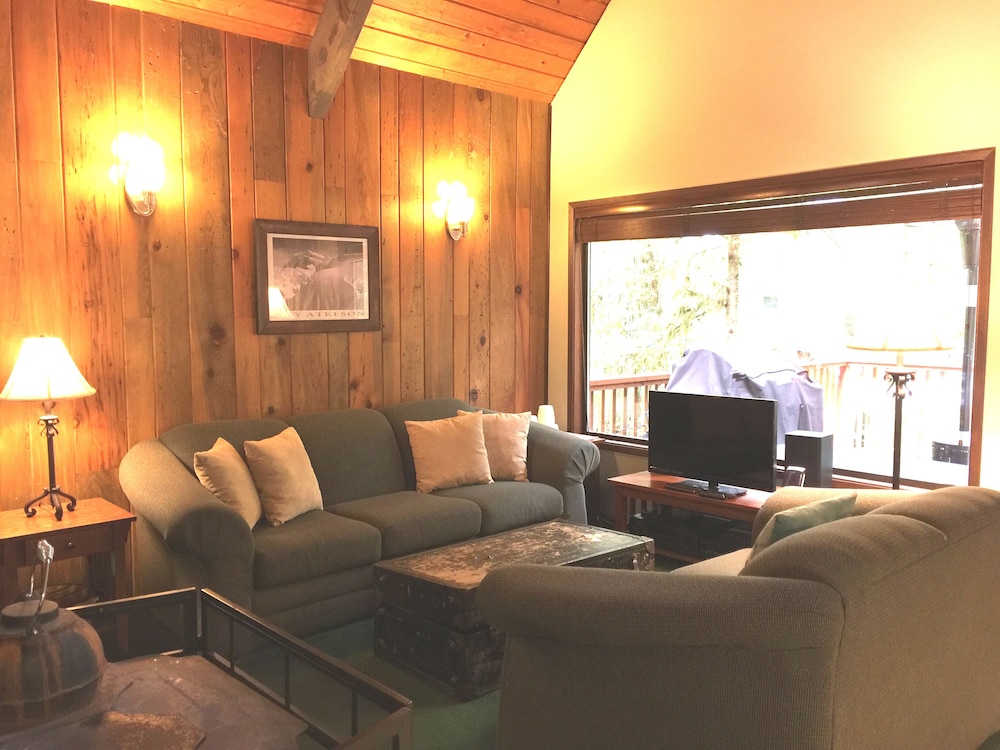 Snowline Cabin #98 A pet Friendly Cabin With a Wood Stove, hot tub and Wifi! view 5