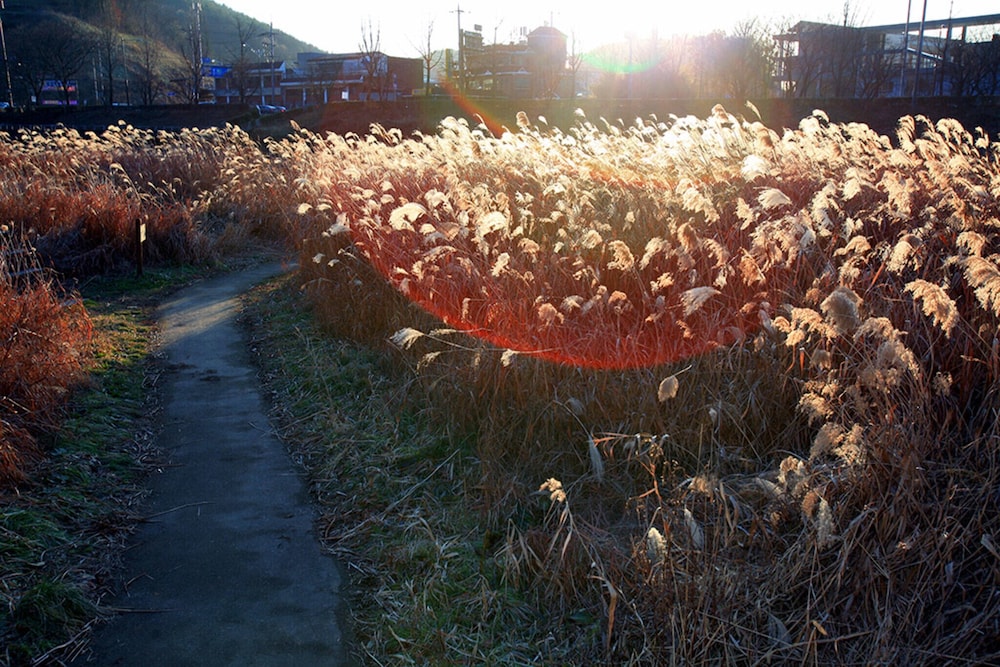 Jeonju Oraedoenmirae Guest House view 3
