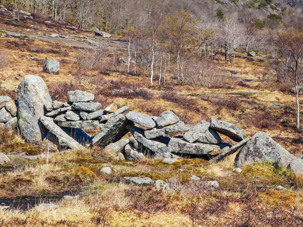 7 Person Holiday Home in Lyngdal