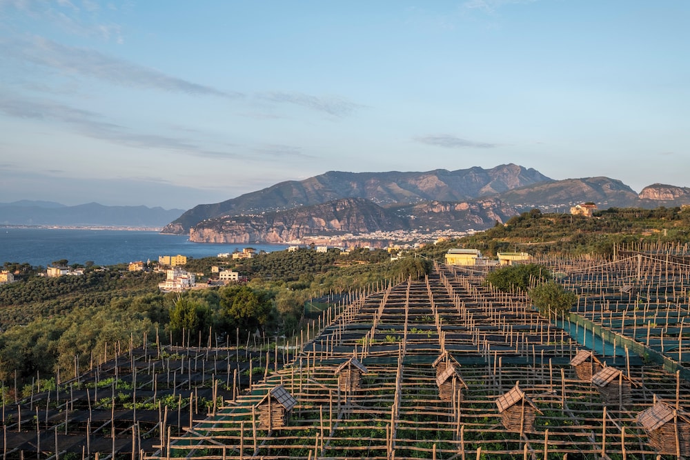 Torre Cangiani photo 2