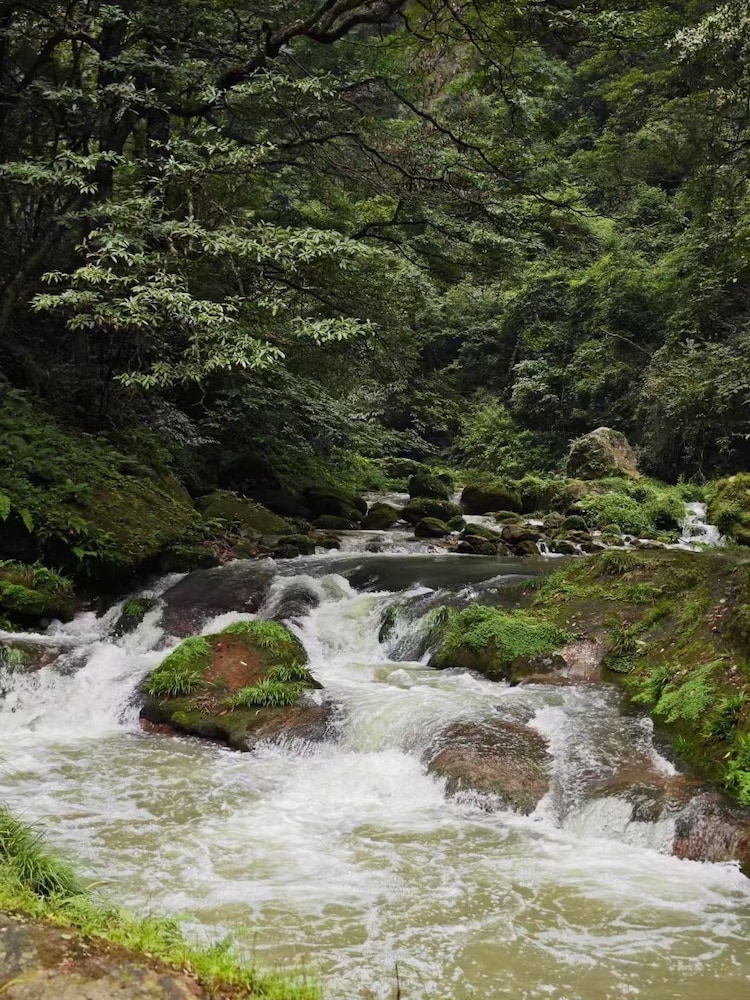 CLOUD Pillow Creek Private Homestay