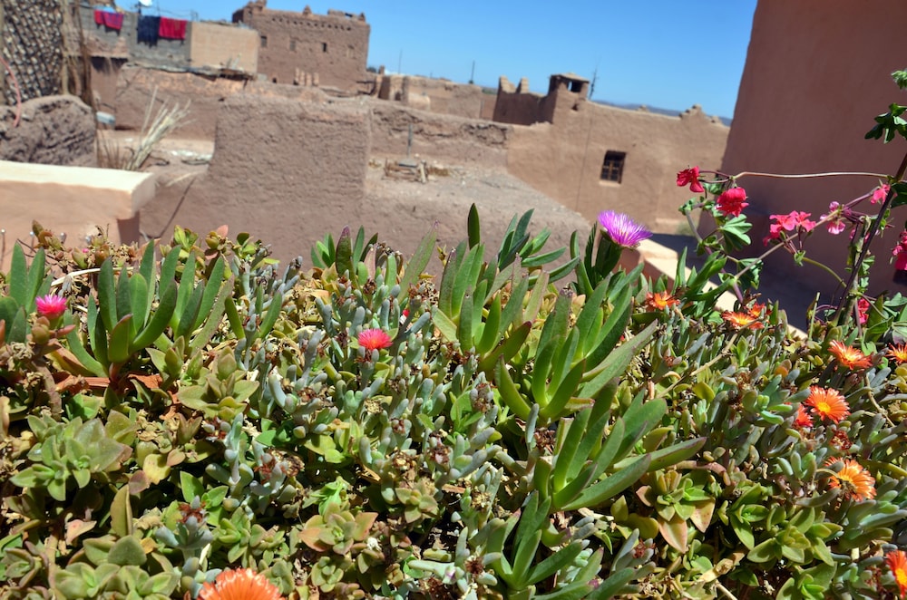 Dar El Nath
