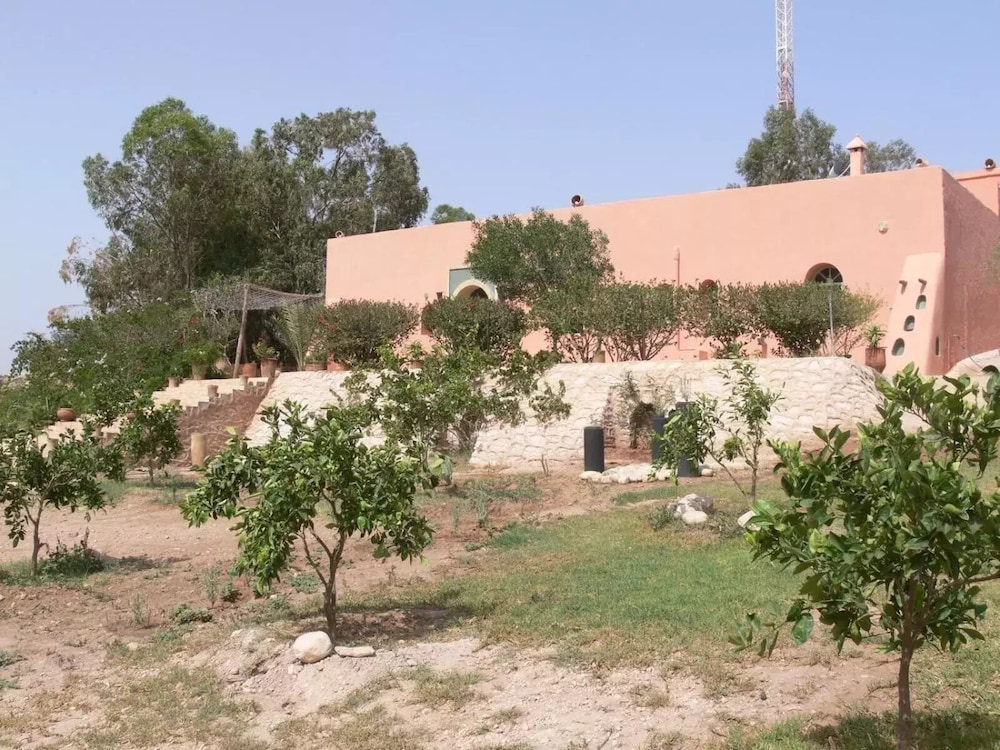 Photo 19