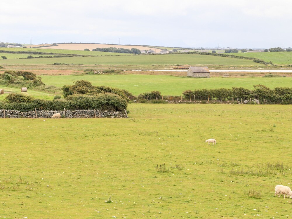 Bodlasan Groes Cottage