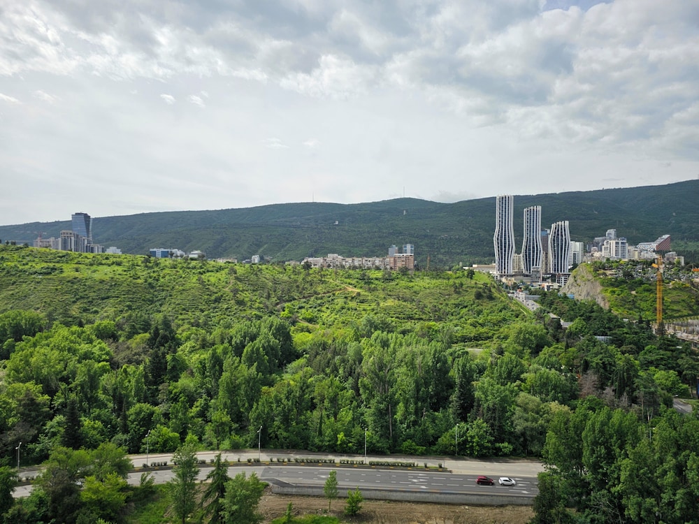Archi Tamarashvili