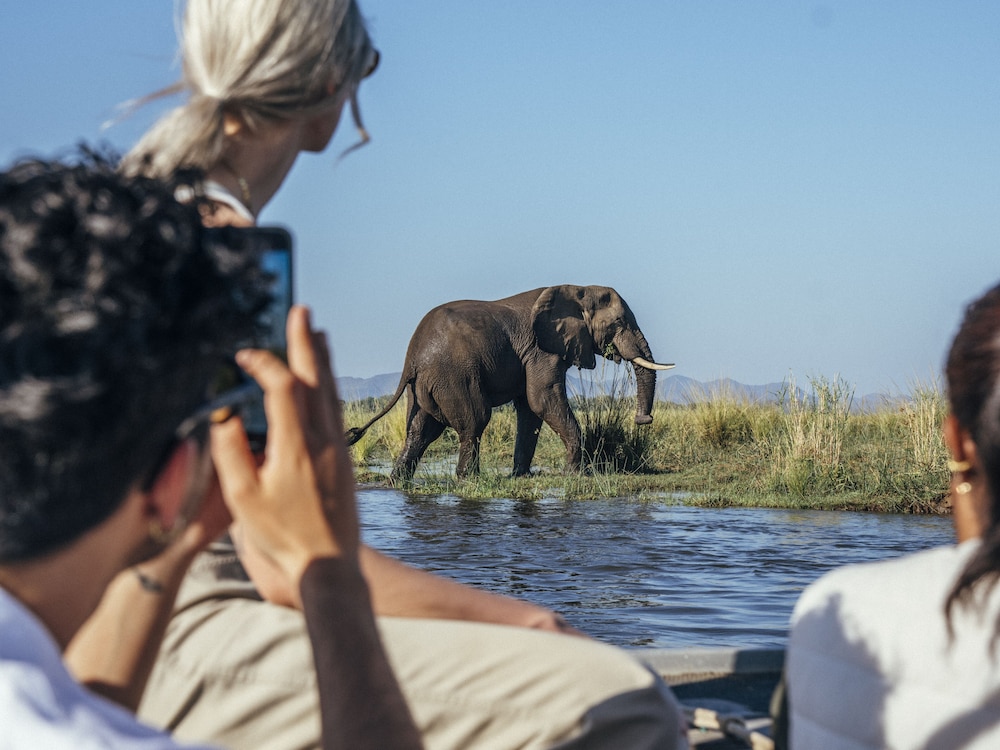 Anabezi Camp