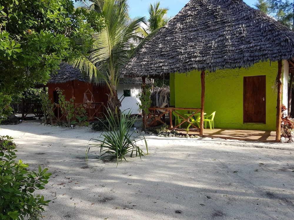 Photo 20