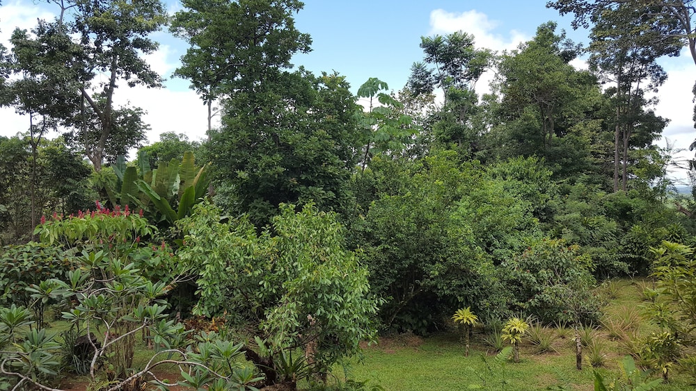 A Little Paradise