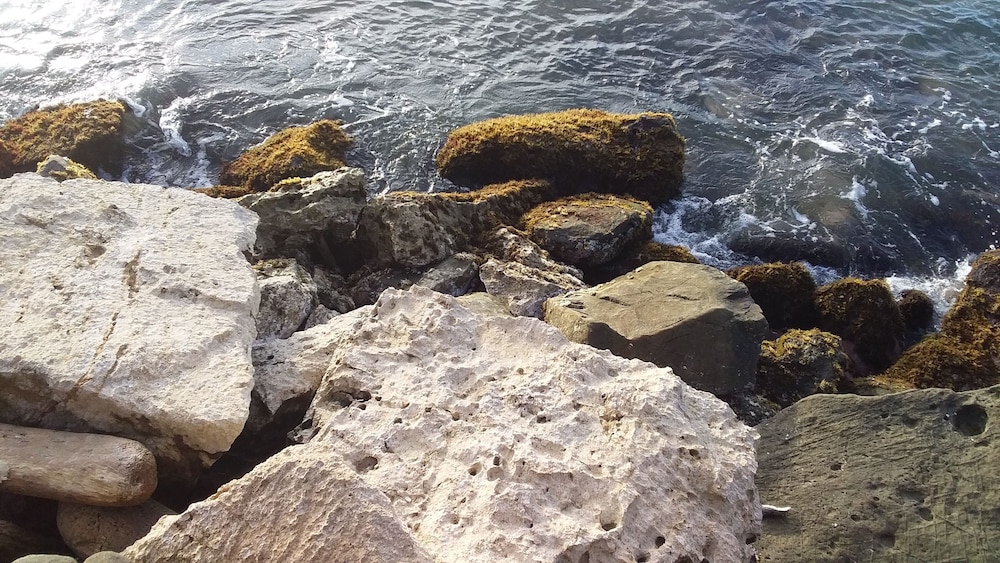 Hospedaje Las Vegas Nevadas - Property Image 5