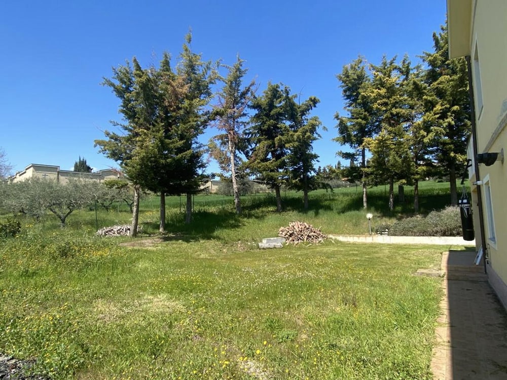 Photo 26