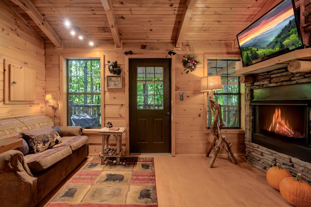 Cozy Bear 1 Bedroom Cabin