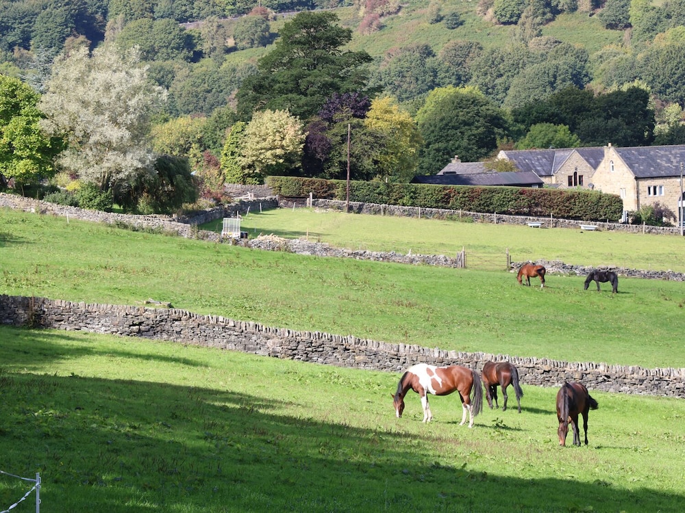 The Stables, photo 20