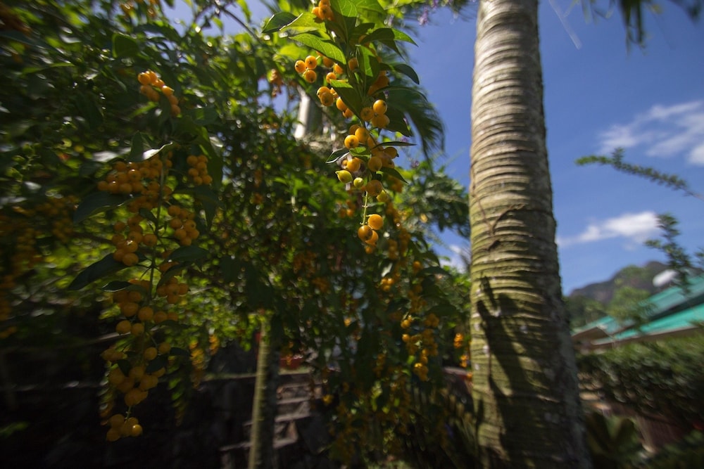 Lemongrass Lodge