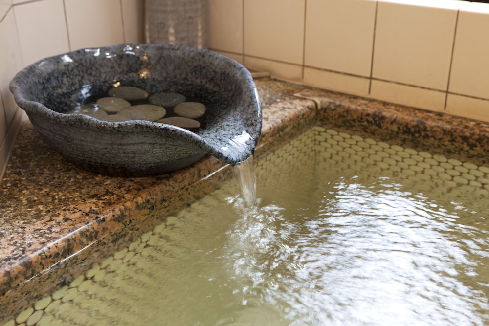 Hinodeya Ryokan