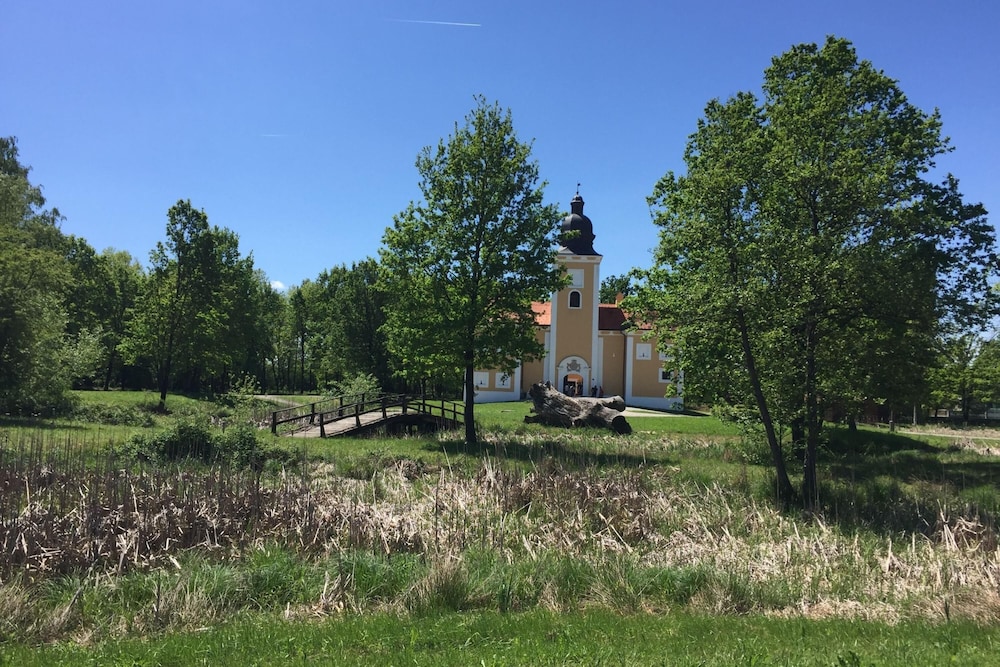 Photo 16