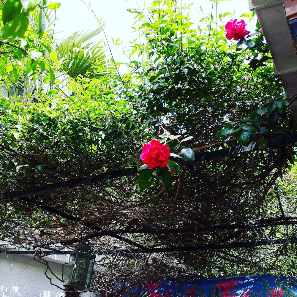 Orhan Kutbay'in Evi Turyolu Cafe Pansiyon
