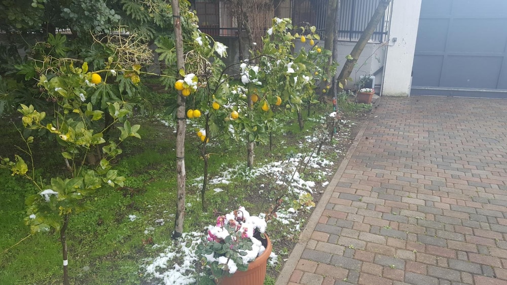 B&B D'Avino view 5