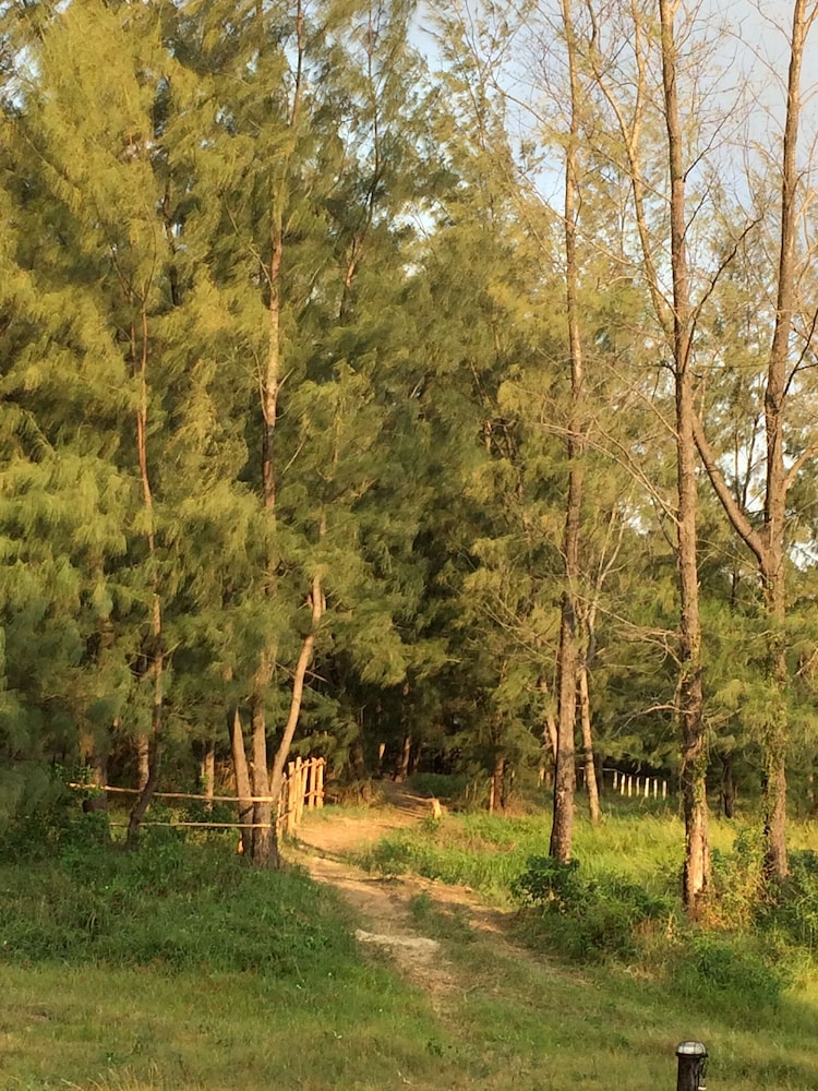 Photo 41