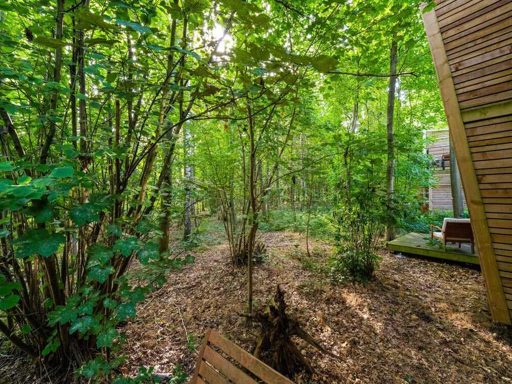 Tranquil Woodland Retreat