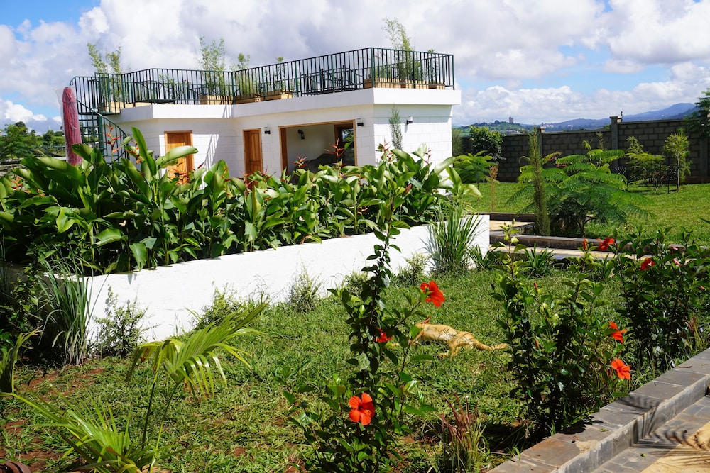 Moyoni Africa Lodge & Tours